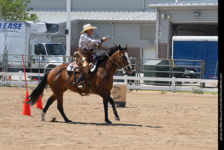 Regulators at the Larimer County Fair 2024