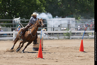 Regulators at the Larimer County Fair 2024