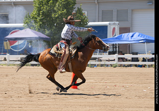 Regulators at the Larimer County Fair 2024