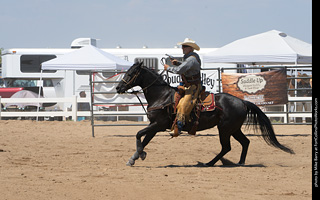 Regulators at the Larimer County Fair 2024