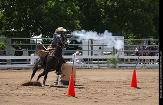 Regulators at the Larimer County Fair 2024