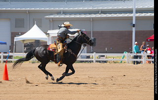 Regulators at the Larimer County Fair 2024