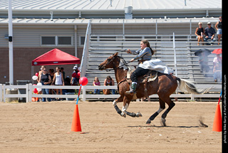 Regulators at the Larimer County Fair 2024
