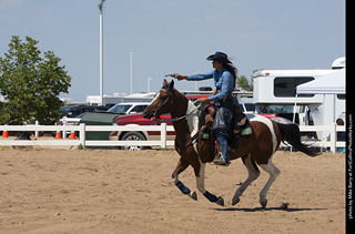Regulators at the Larimer County Fair 2024