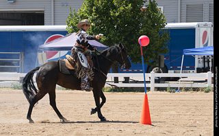 Regulators at the Larimer County Fair 2024