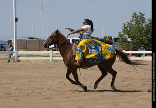 Regulators at the Larimer County Fair 2024