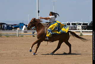 Regulators at the Larimer County Fair 2024