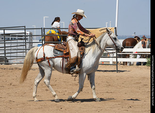 Regulators at the Larimer County Fair 2024
