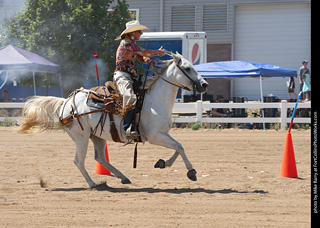 Regulators at the Larimer County Fair 2024