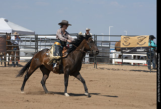 Regulators at the Larimer County Fair 2024