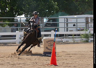 Regulators at the Larimer County Fair 2024