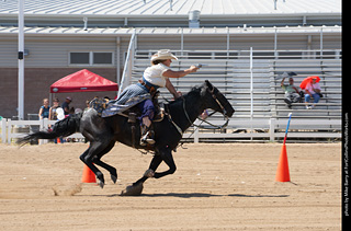 Regulators at the Larimer County Fair 2024