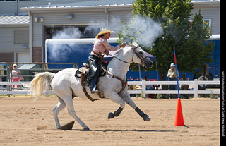 Regulators at the Larimer County Fair 2024