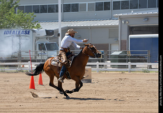 Regulators at the Larimer County Fair 2024