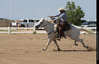 Regulators at the Larimer County Fair 2024