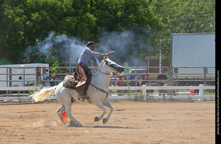 Regulators at the Larimer County Fair 2024