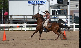 Regulators at the Larimer County Fair 2024