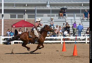 Regulators at the Larimer County Fair 2024