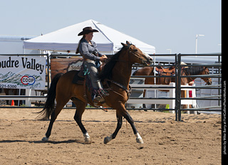 Regulators at the Larimer County Fair 2024