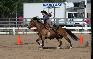 Regulators at the Larimer County Fair 2024