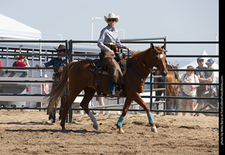 Regulators at the Larimer County Fair 2024
