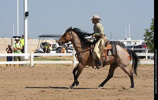 Regulators at the Larimer County Fair 2024