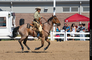 Regulators at the Larimer County Fair 2024