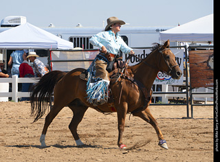 Regulators at the Larimer County Fair 2024