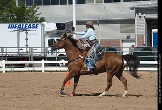 Regulators at the Larimer County Fair 2024
