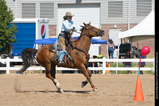 Regulators at the Larimer County Fair 2024