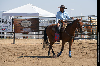Regulators at the Larimer County Fair 2024
