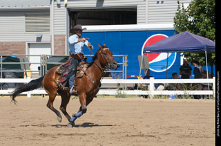 Regulators at the Larimer County Fair 2024