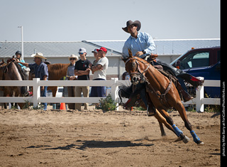 Regulators at the Larimer County Fair 2024
