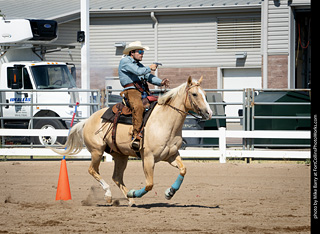 Regulators at the Larimer County Fair 2024
