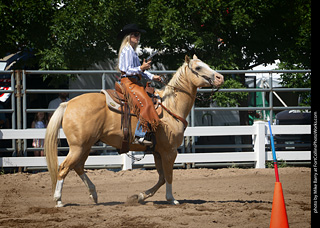 Regulators at the Larimer County Fair 2024