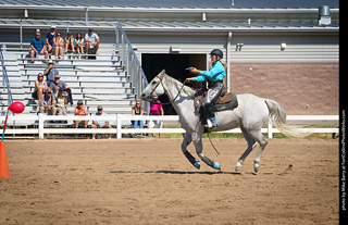 Regulators at the Larimer County Fair 2024