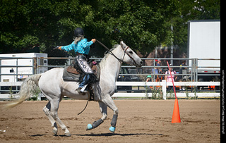 Regulators at the Larimer County Fair 2024