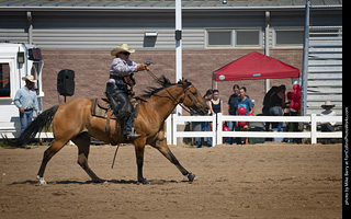 Regulators at the Larimer County Fair 2024