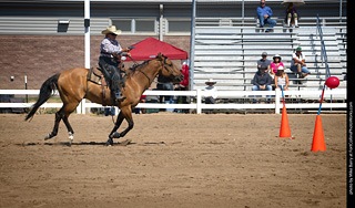 Regulators at the Larimer County Fair 2024