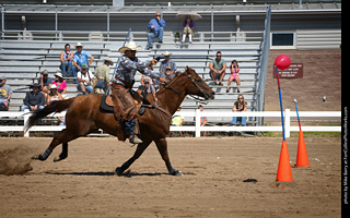 Regulators at the Larimer County Fair 2024