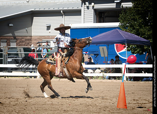 Regulators at the Larimer County Fair 2024