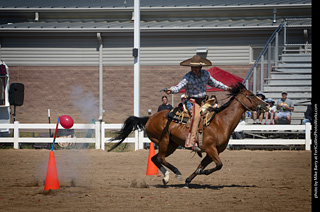 Regulators at the Larimer County Fair 2024