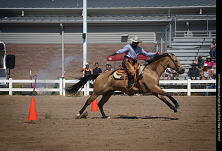 Regulators at the Larimer County Fair 2024
