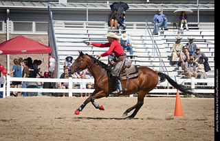 Regulators at the Larimer County Fair 2024