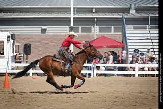 Regulators at the Larimer County Fair 2024