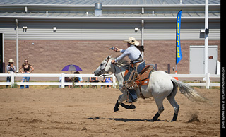 Regulators at the Larimer County Fair 2024