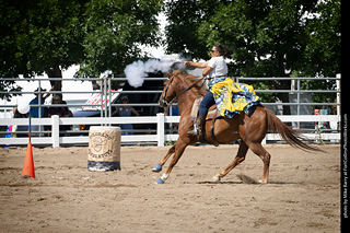 Regulators at the Larimer County Fair 2024