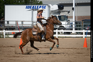 Regulators at the Larimer County Fair 2024