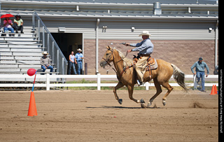 Regulators at the Larimer County Fair 2024