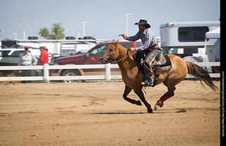 Regulators at the Larimer County Fair 2024